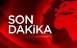 Hem besleyici hem sağlıklı: Keten tohumunun faydal...