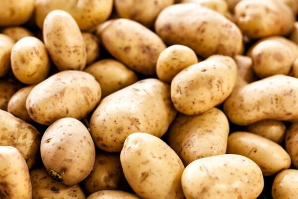 Ticaret Bakanlığı’ndan patates fiyatlarına i...