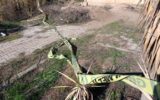Yol kenarında kadın cesedi bulundu